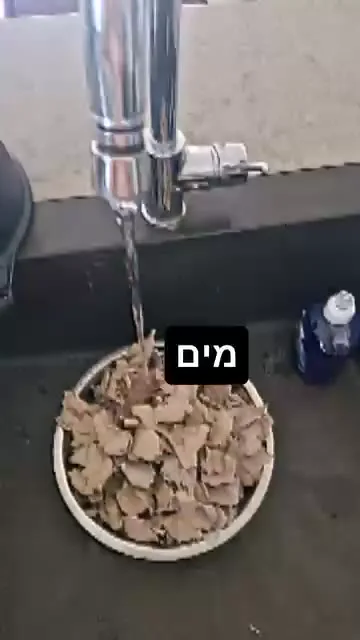 מכינים עיסת נייר מתבנית ביצים — תמונה 4