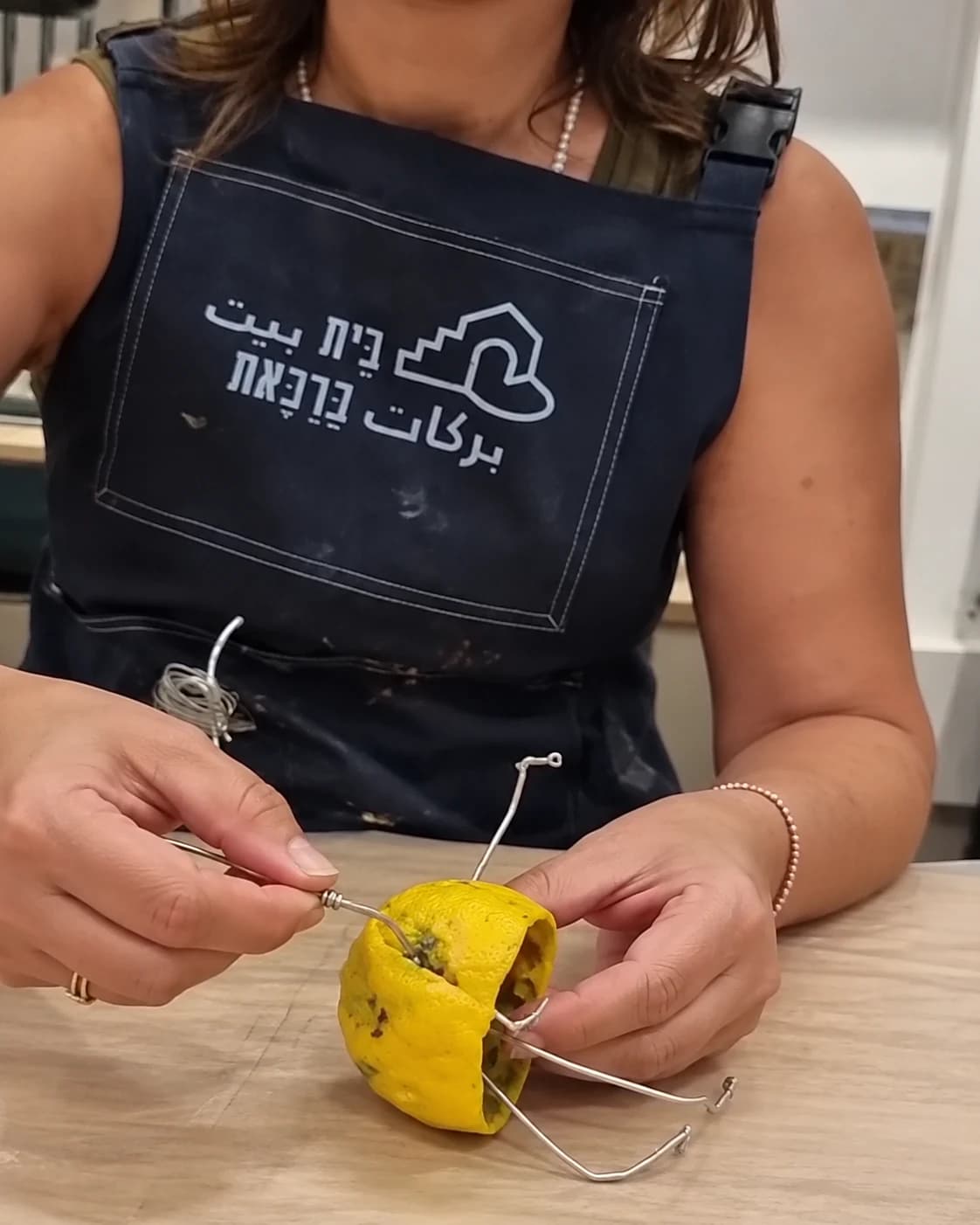 מוסיפים איברים