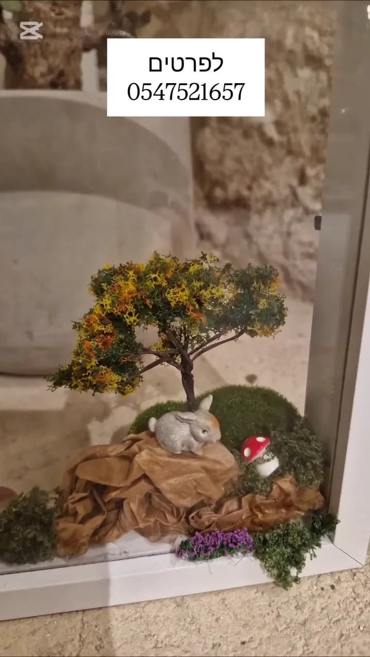 מבט דרך המסגרת
