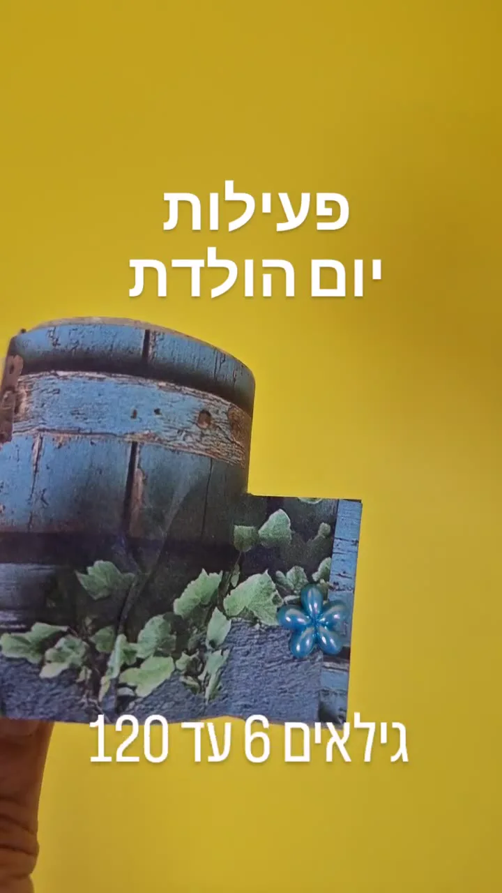 בית לפיה - יצירה עם צמחים אמיתיים — תמונה 3
