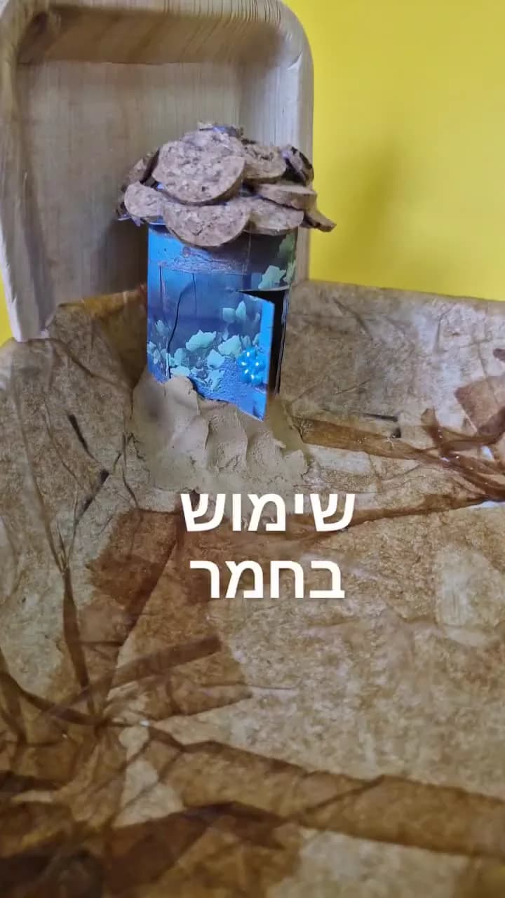 בית לפיה - יצירה עם צמחים אמיתיים — תמונה 5