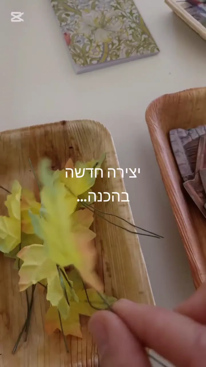 בוחרים את המרכיבים