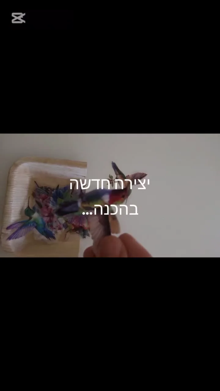 מסגרת טבע מיניאטורית — תמונה 3
