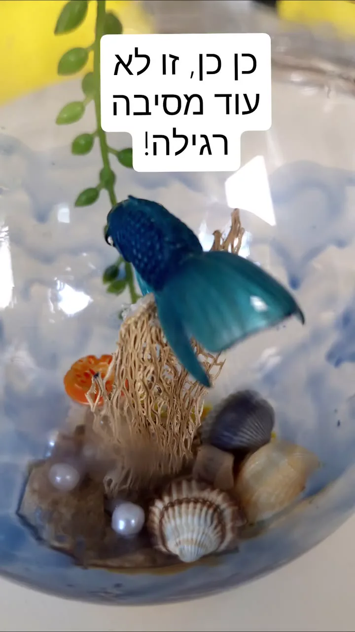 העולם נסגר בבועה