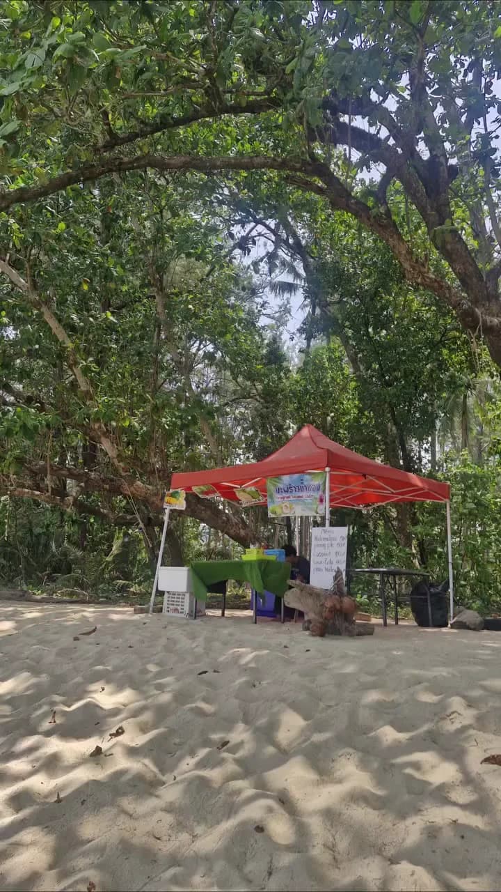 רגע של חופש עם קוקוס טרי — תמונה 3