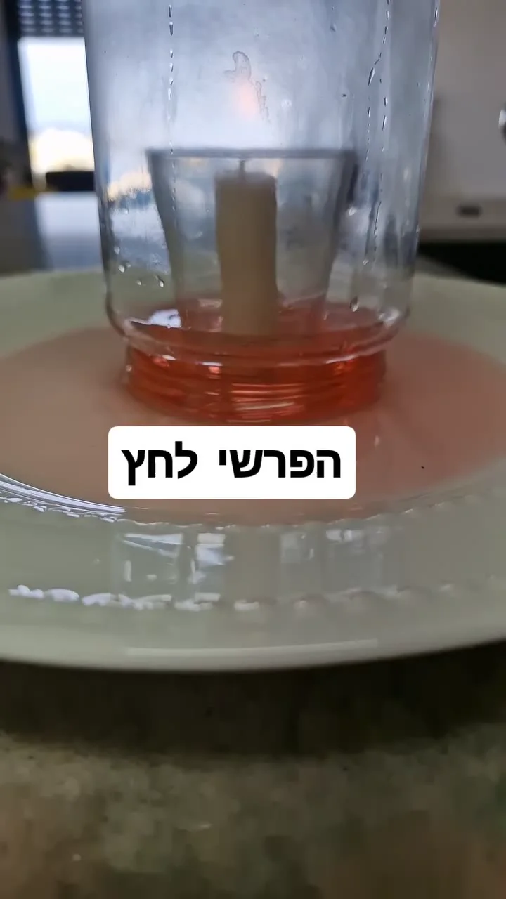 צופים במים עולים