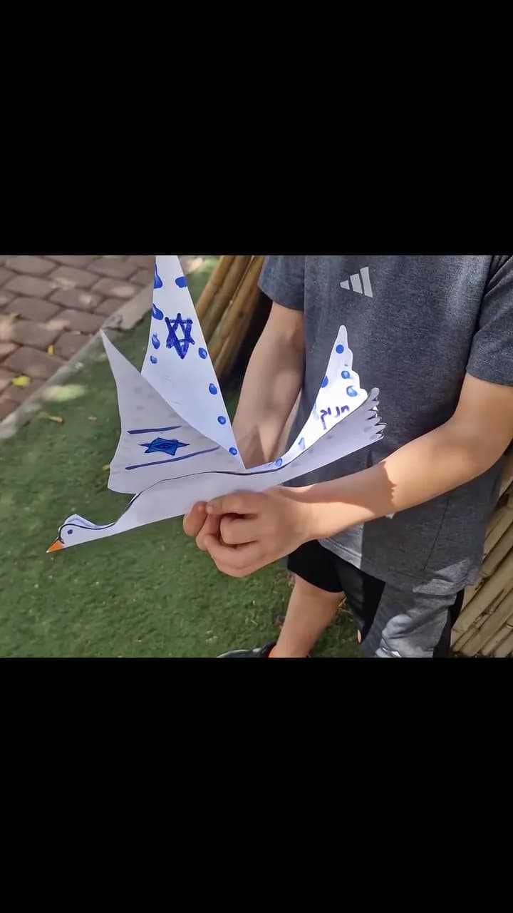 מעצבים את היונה