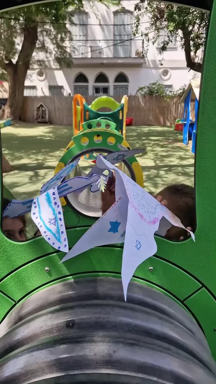 יונת שלום עם דגל ישראל — תמונה 3