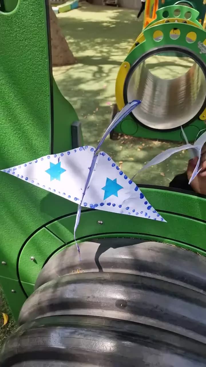 יונת שלום עם דגל ישראל — תמונה 4