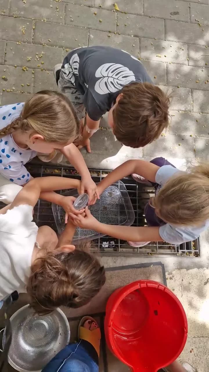 חיות משקעי קרטון ביצים — תמונה 1