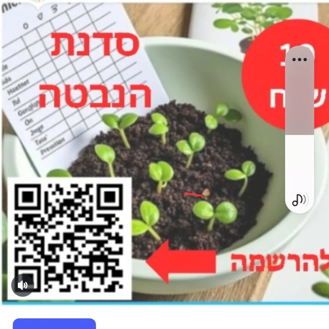 סדנת הנבטה מהממת במרכז דג׳יאני - כשמדע פוגש יצירה